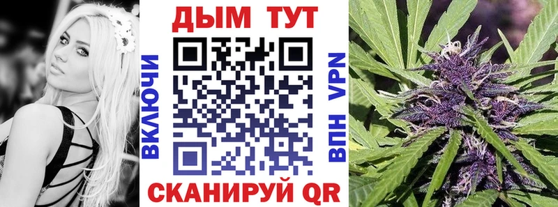Бошки Шишки план  закладки  Лысково 